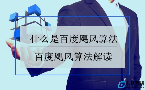 百度飓风算法主要打击的什么? 第1张